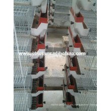 Wire Mesh Quail Cage/Layers Cages For Quail For Sale